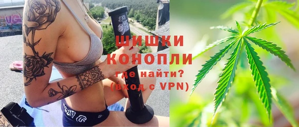 гашик Осинники