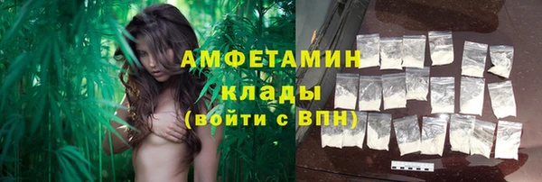 дмт Осташков
